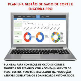 Planilha de Controle de Gado de Corte 4.5